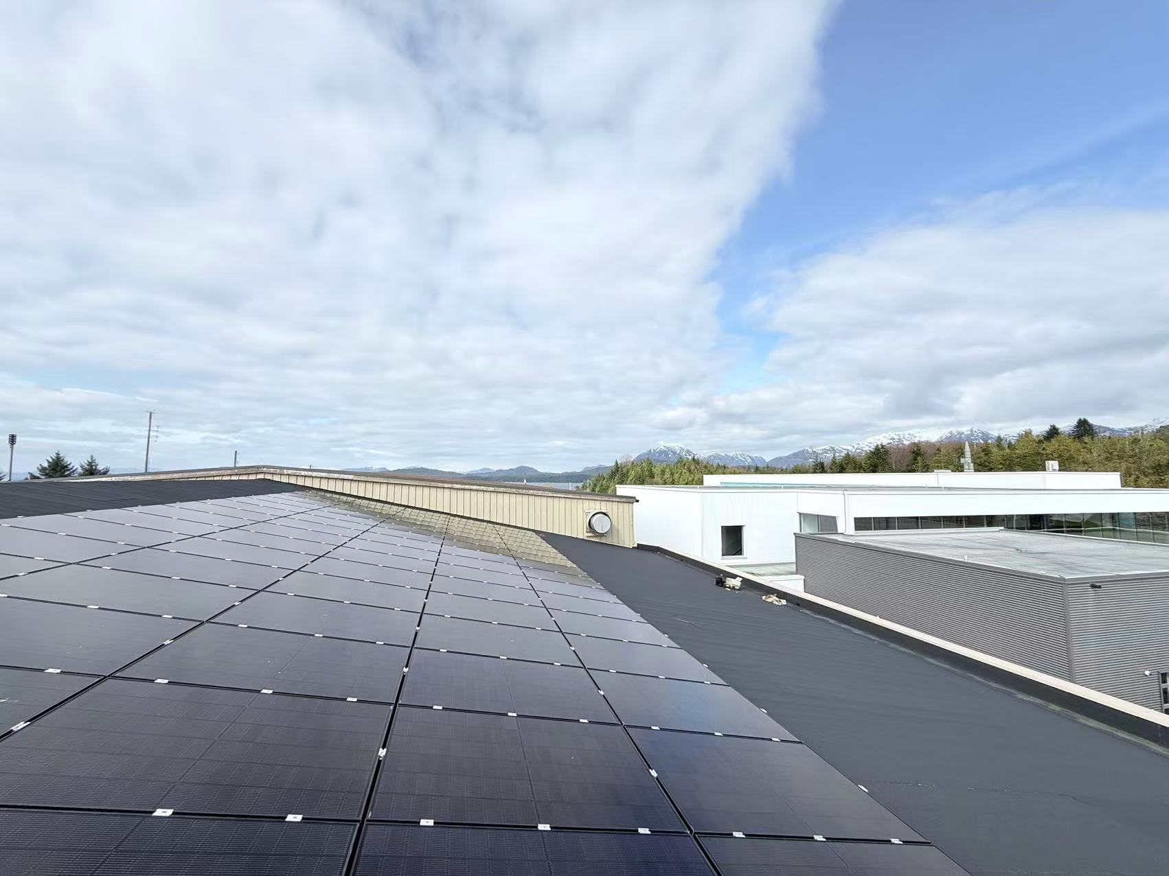 Rows of solar panels extending across a flat rooftop